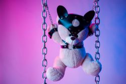 Toy,Bear,Dressed,In,Leather,Belts,Harness,Accessory,For,Bdsm