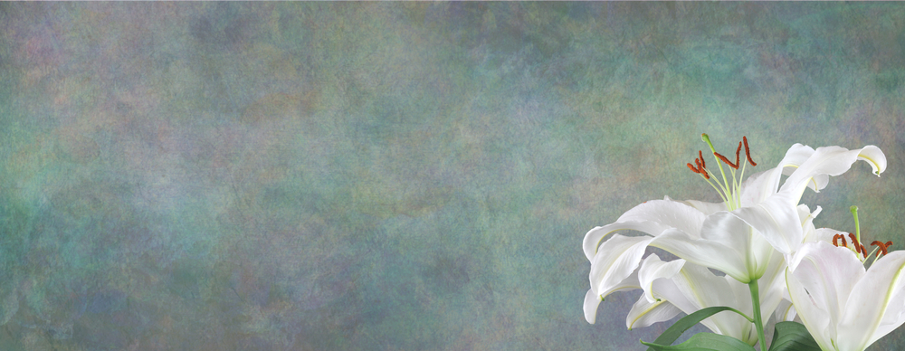 Funeral,Wake,Order,Of,Service,Lily,Background,-,White,Lily